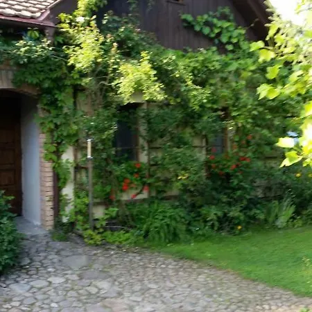 Villa Zulawka Warcz Exterior foto